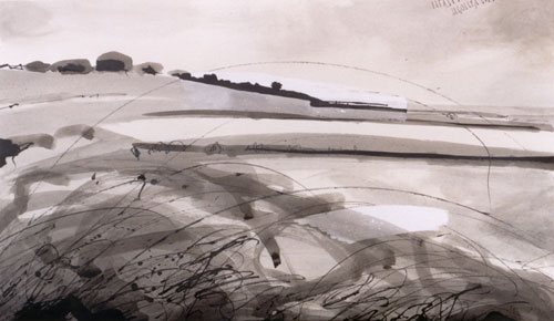 Landschaft, 2002,Feder/Tusche auf Papier, 53 x 92 cm