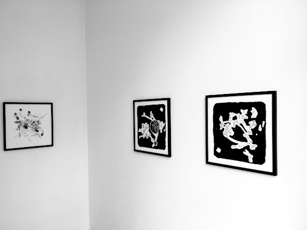 Ausstellungsansicht Flowering Black